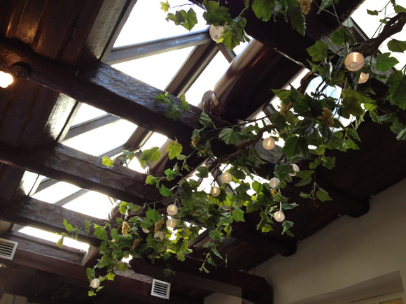 Till ja Kummel kohvik restoran skylight