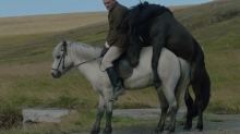 Of Horses and Men (2013)