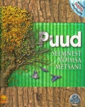 Puud. Seemnest võimsa metsani