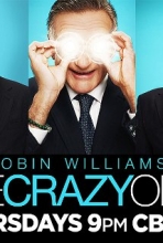 The Crazy Ones (2013– )