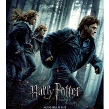 Harry Potter and the Deathly Hallows: Part I (2010)