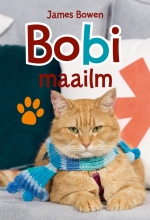 Bobi maailm