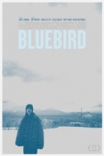 Bluebird (2012)