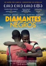 Black Diamonds (2013)