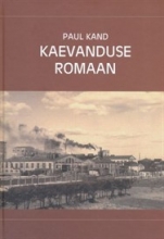 Kaevanduse romaan